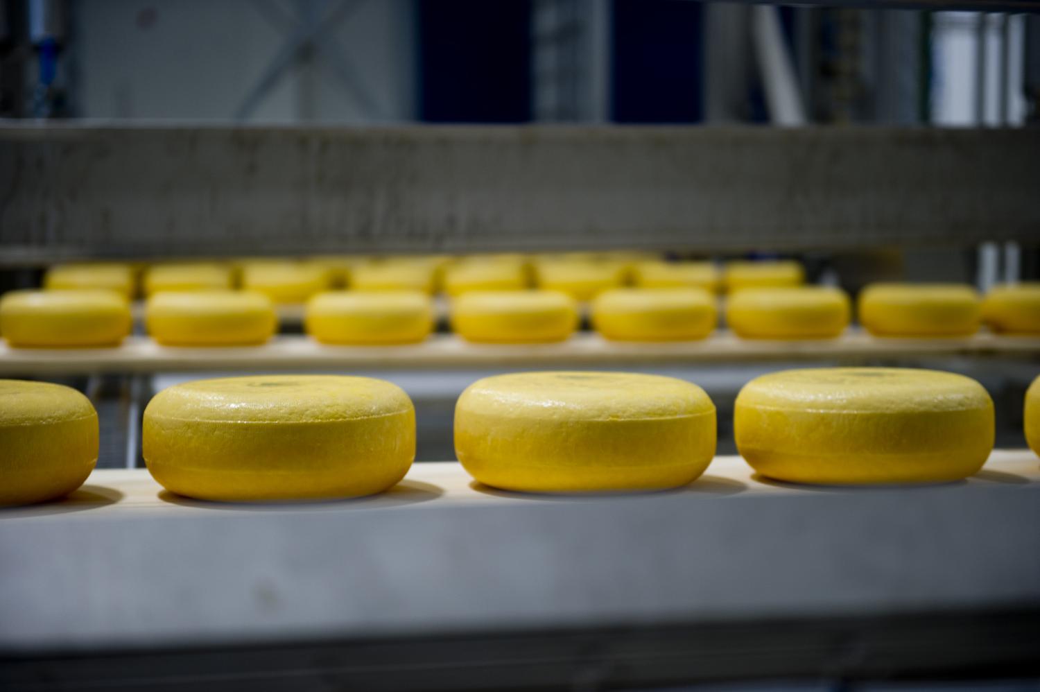 Navigating The Dairy Trade Frontier Pharma navigating-the-dairy-trade-frontier-pharma